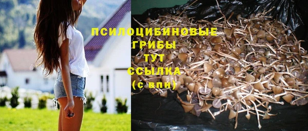 кокаин колумбия Горно-Алтайск