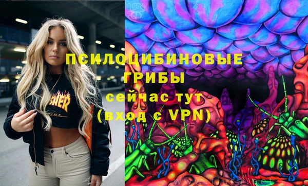 гидра Вязники