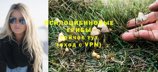 синтетический гашиш Горнозаводск