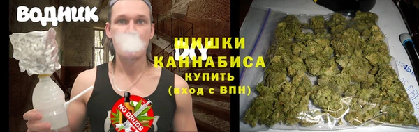 гидра Вязники