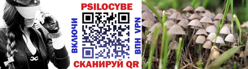 Галлюциногенные грибы мицелий  Новочеркасск 